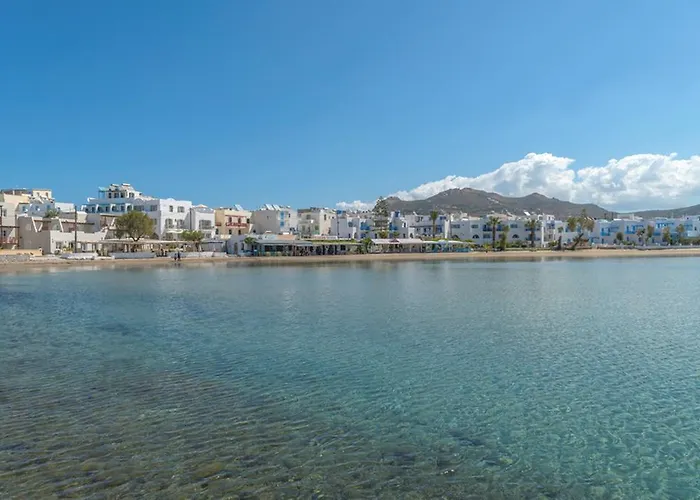 ホテル Nissaki 5*